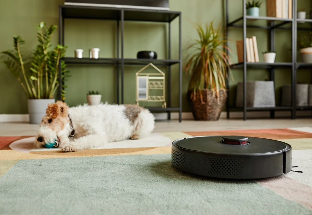 robot vacuum cleaner and mop